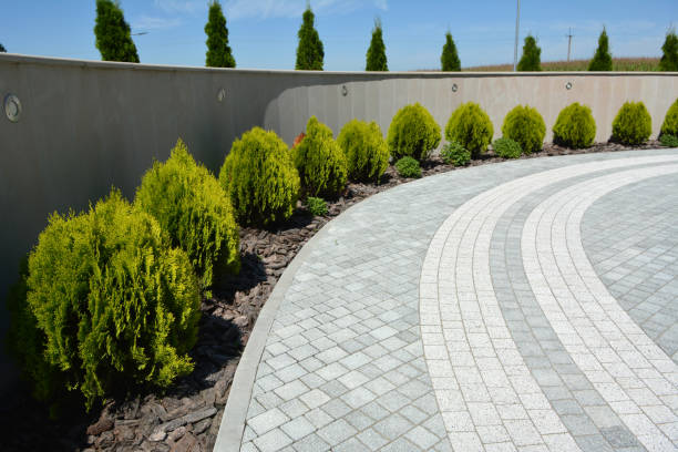 Best Affordable Driveway Pavers  in Taylor Creek, OH